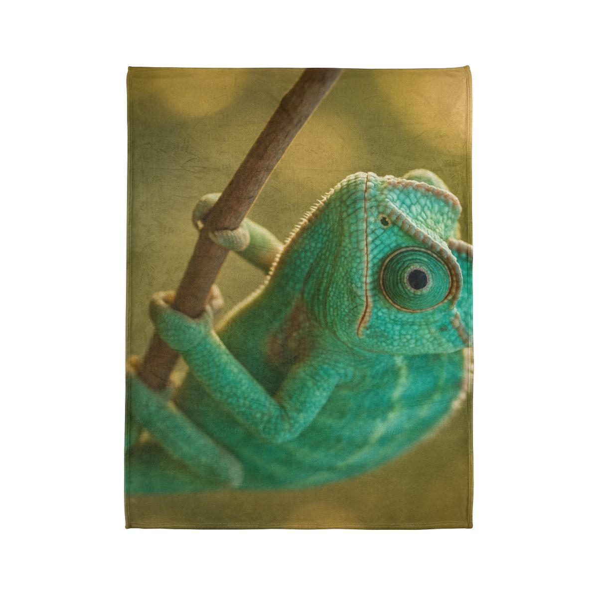 Prism Gaze Veiled Chameleon trendy patterned blankets