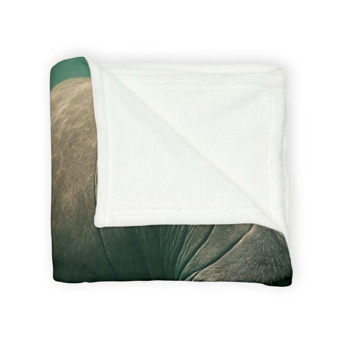 Quiet Drift West Indian Manatee personalized cozy blankets