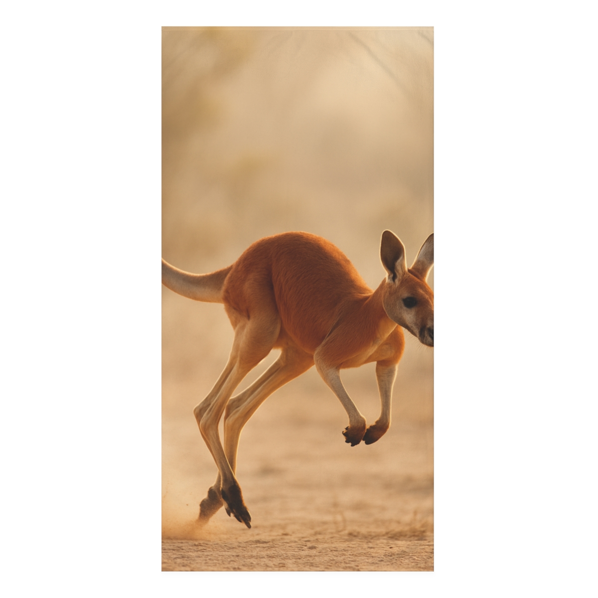 Red Kangaroo Dustrise Stride stylish beach towels