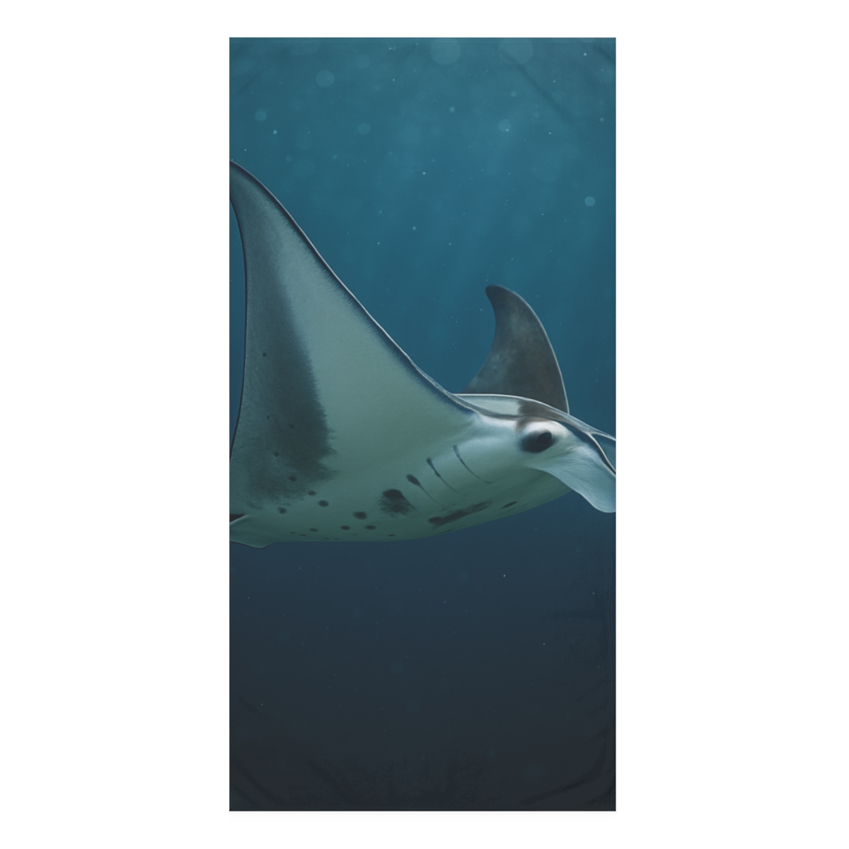 Reef Manta Ray Moonlit Sweep decorative home towelscustom towels