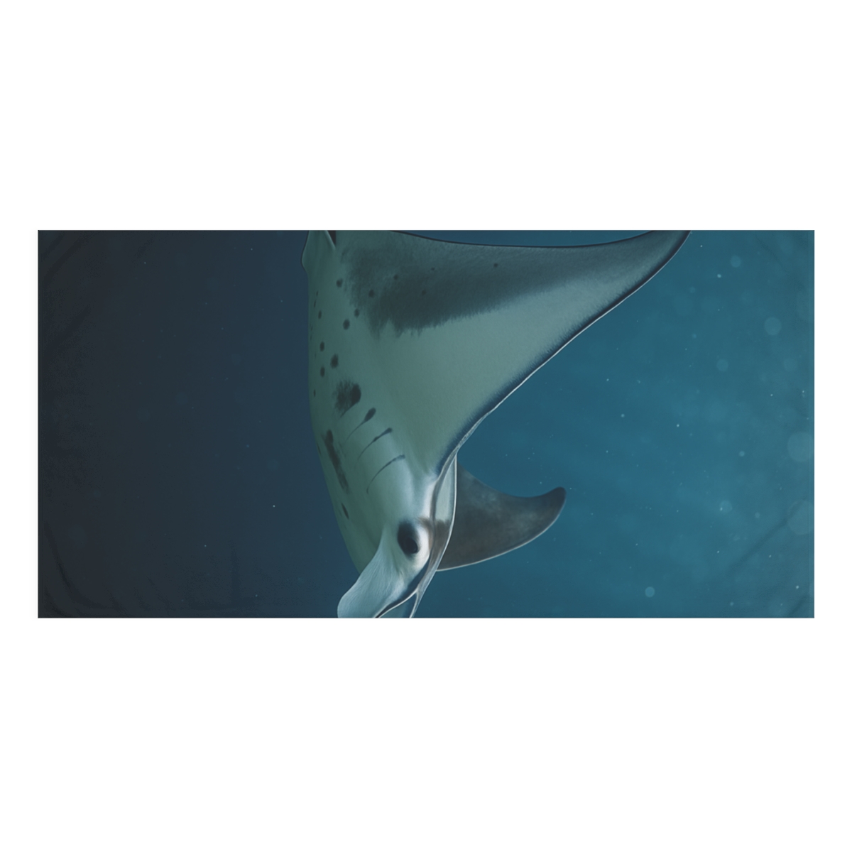 Reef Manta Ray Moonlit Sweep decorative home towelscustom towels