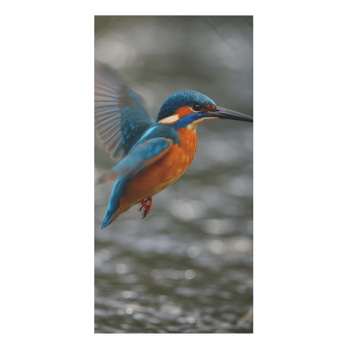 River Flash Kingfisher decorative home towelscustom towels