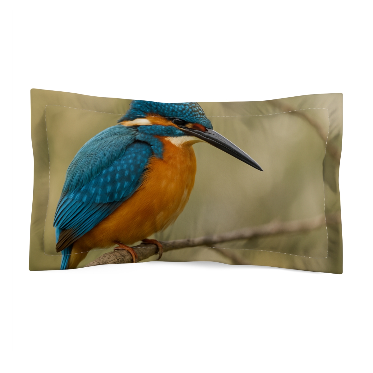 River Flash Kingfisher gift pillows for home