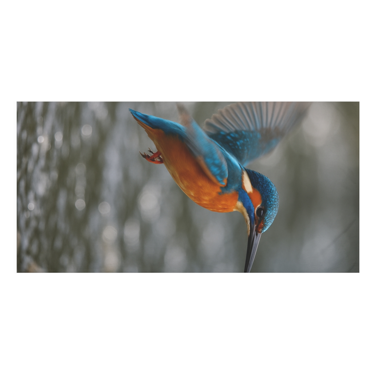 River Flash Kingfisher decorative home towelscustom towels
