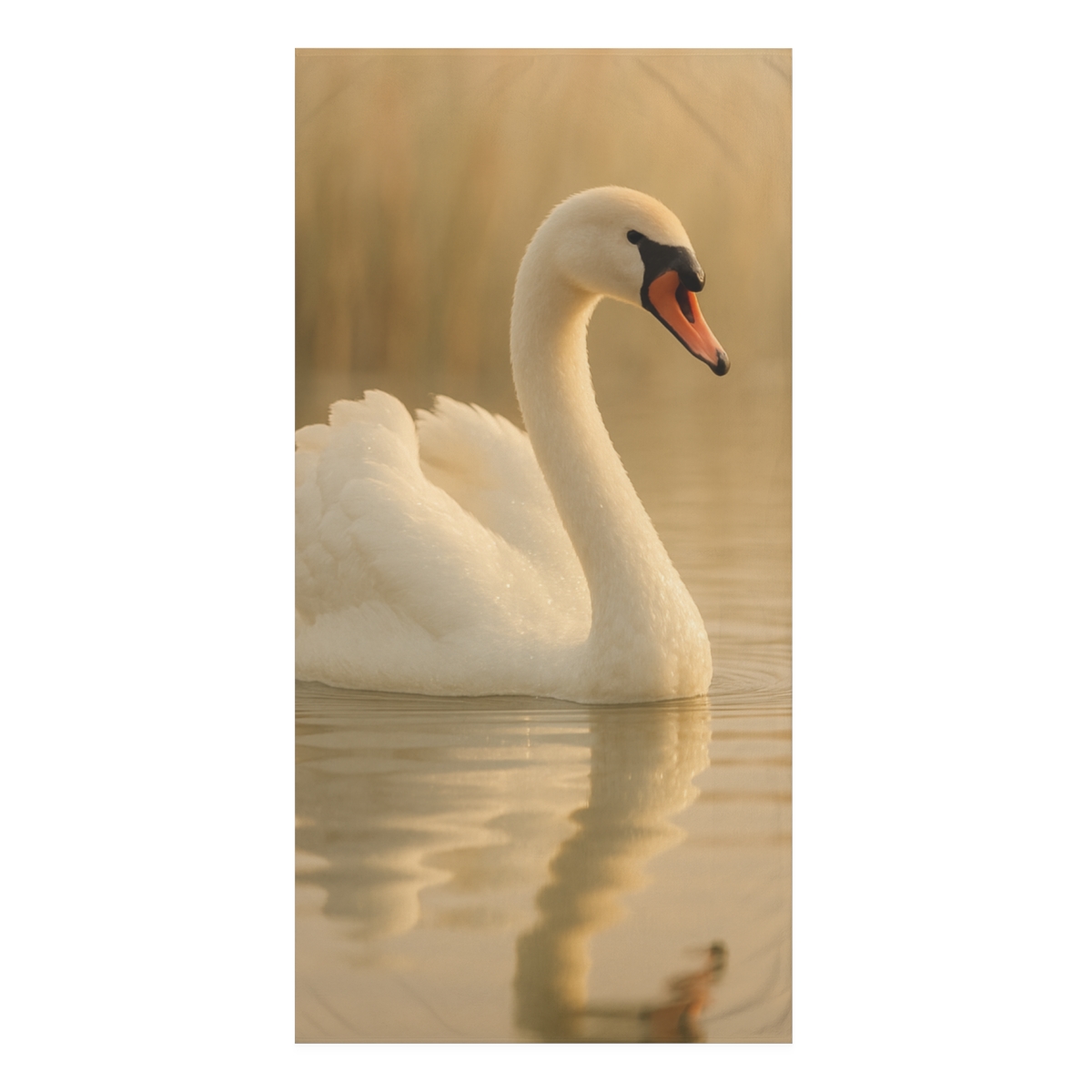 River Grace Swan stylish beach towels