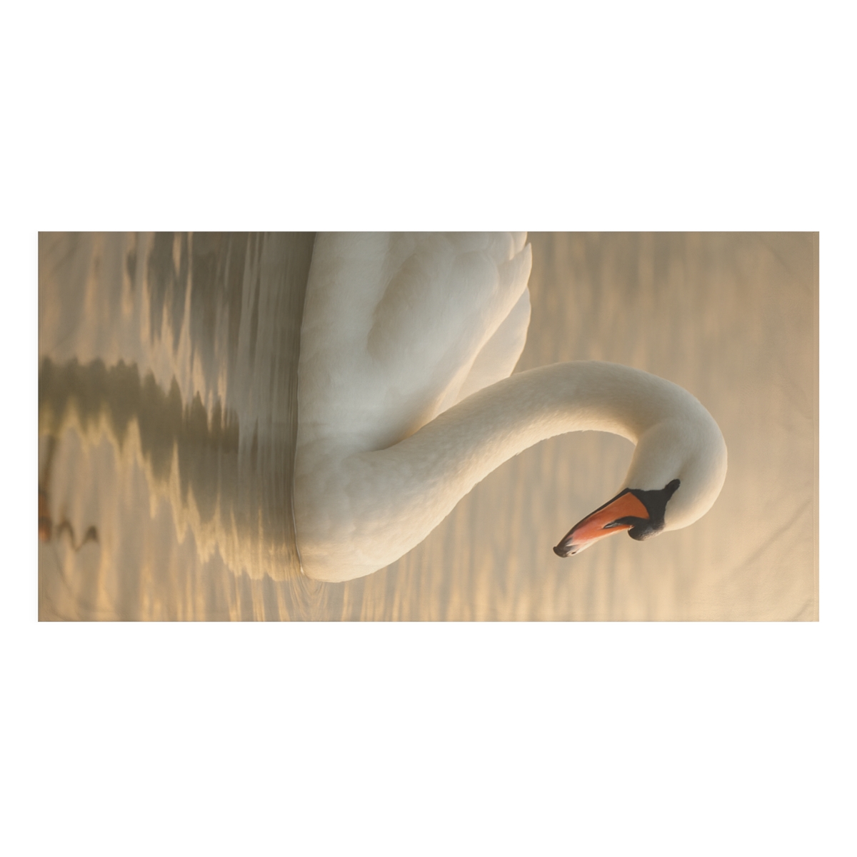 River Grace Swan designer printed towels