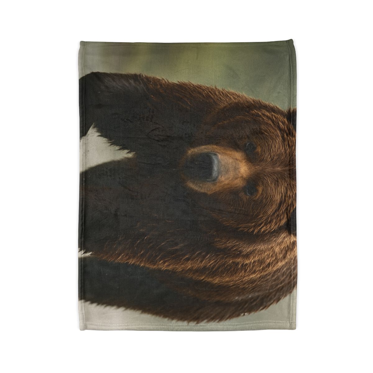 River King Grizzly Bear warm winter blankets