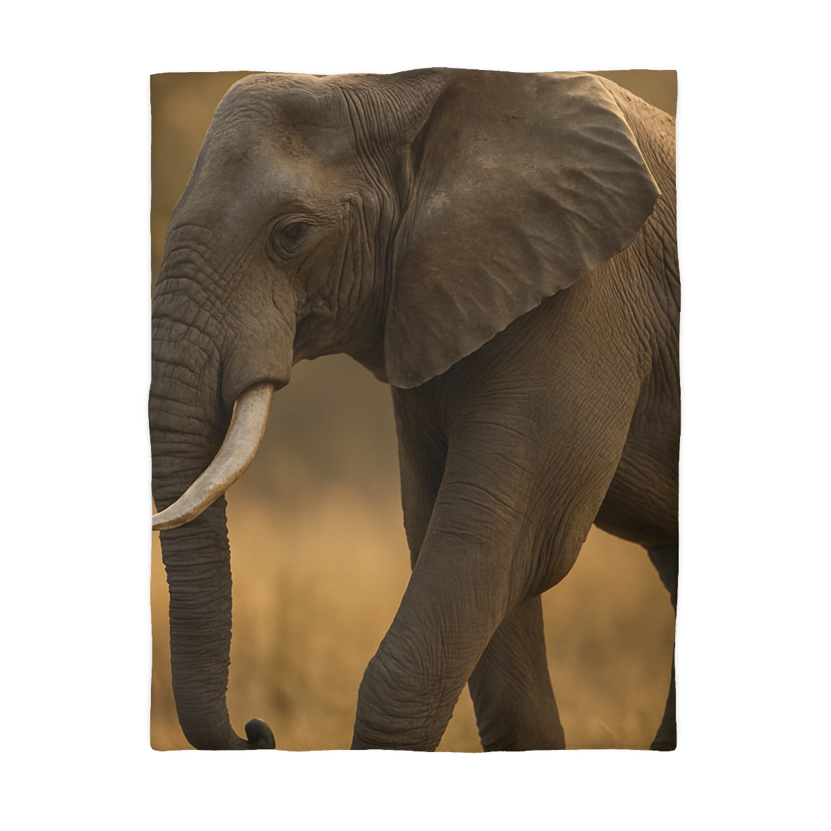 Savannah Sentinel Elephant soft comforter duvets