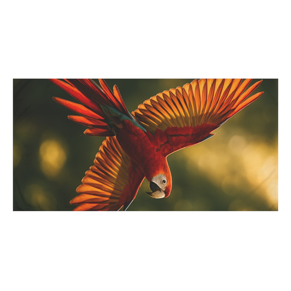 Scarlet Macaw Sunflare Flight stylish beach towels