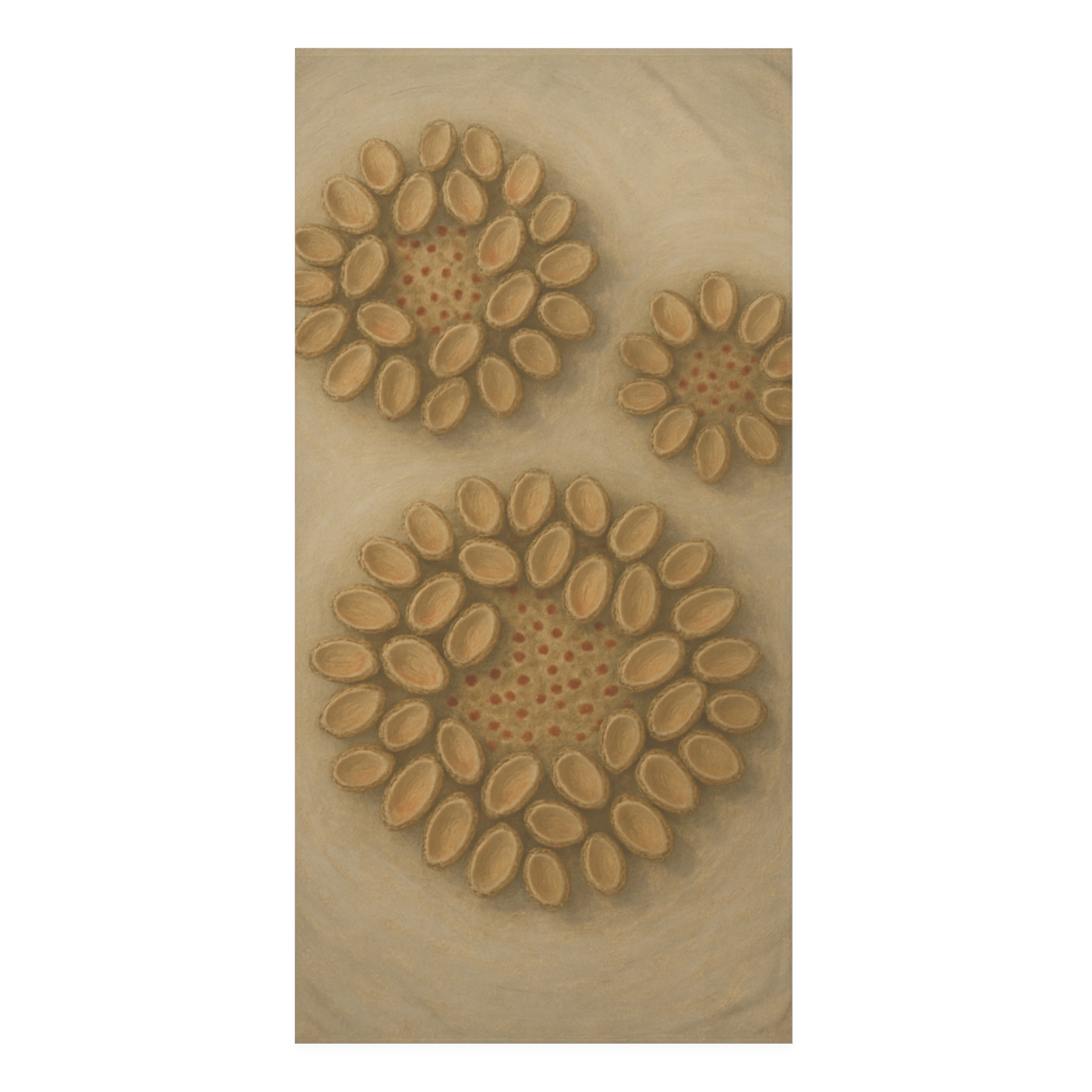 Seed Pod Halo Clusters soft cotton towels