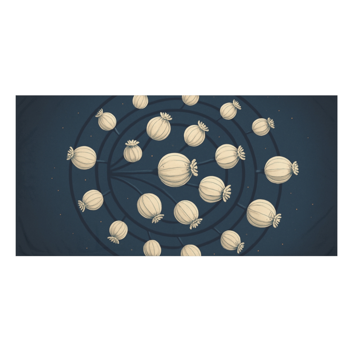 Seed Pod Orbit Cluster comfortable face towels