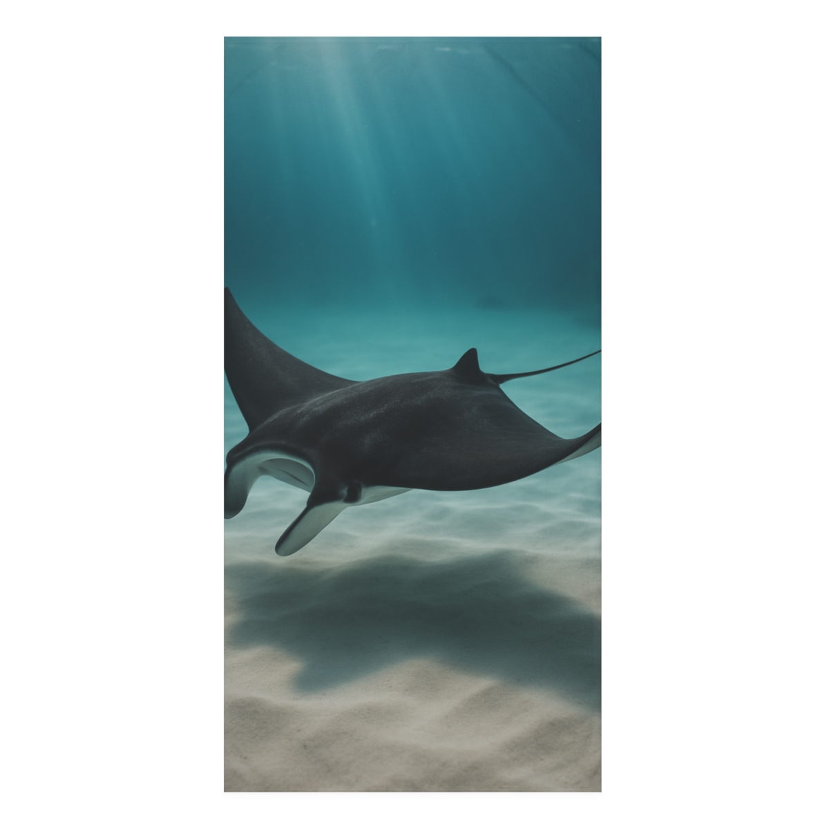 Shadow Glide Manta Ray comfortable face towels