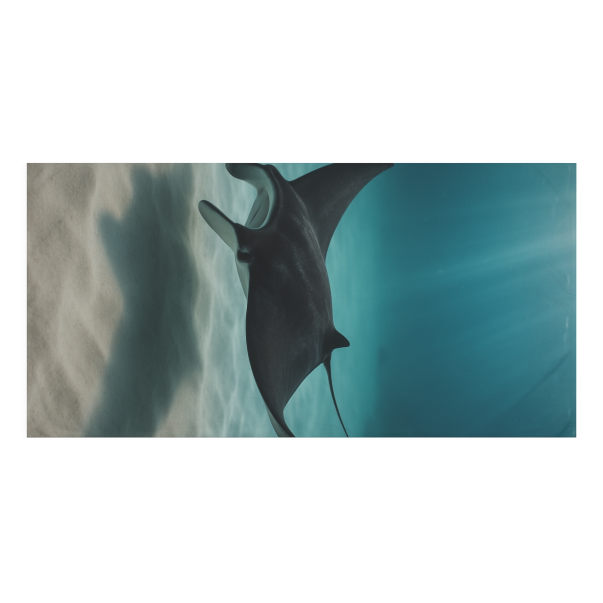 Shadow Glide Manta Ray comfortable face towels