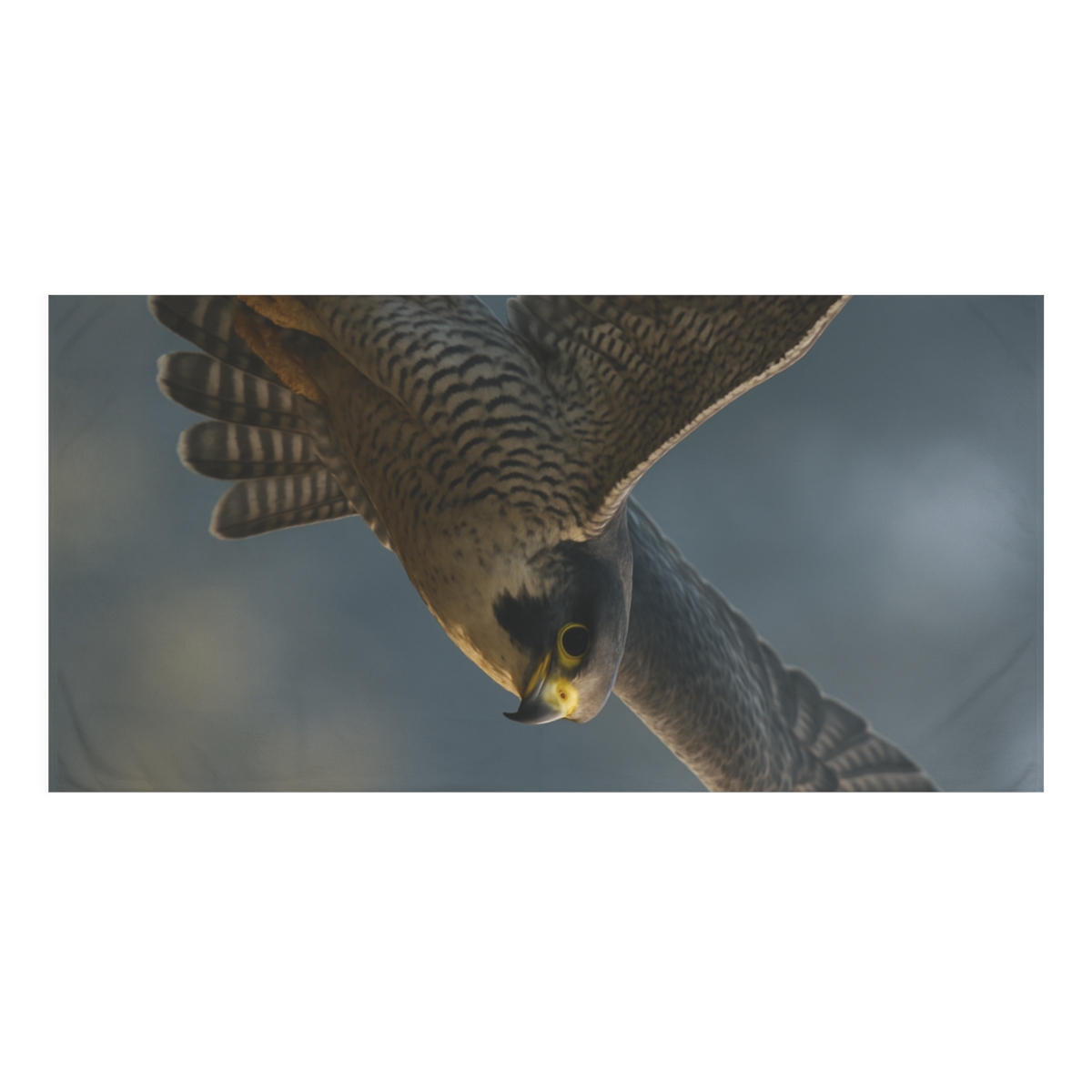 Shadow Glider Peregrine Falcon trendy hand towels
