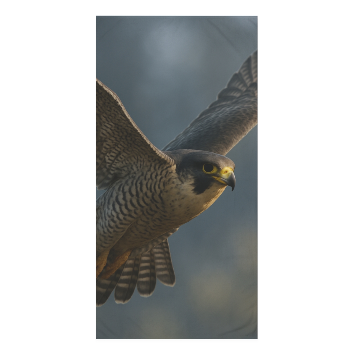 Shadow Glider Peregrine Falcon trendy hand towels
