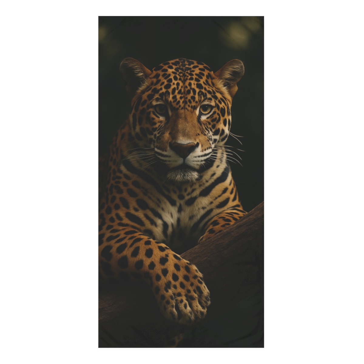 Shadow Veil Jaguar comfortable face towels