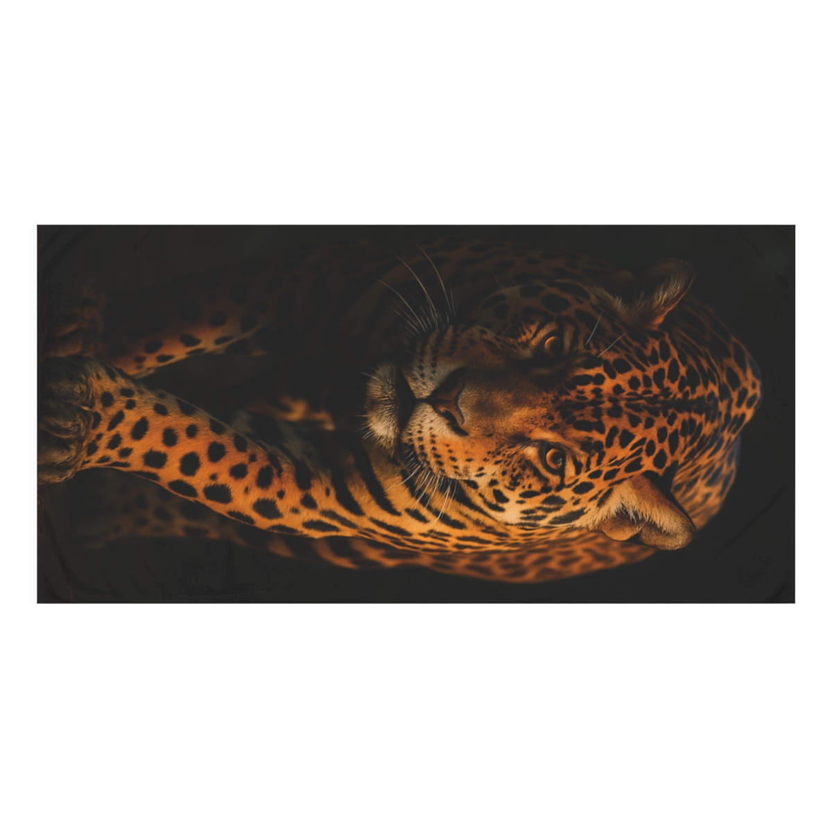 Shadow Veil Jaguar comfortable face towels