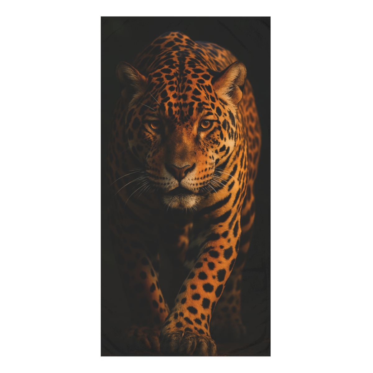 Shadow Veil Jaguar comfortable face towels