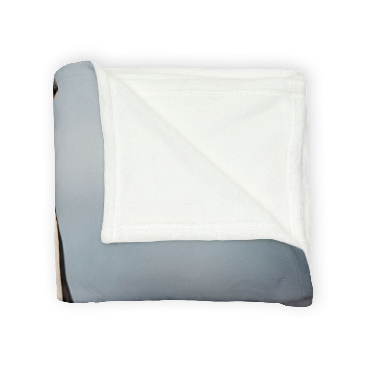 Shoreline Echo Gentoo Penguin designer printed blankets