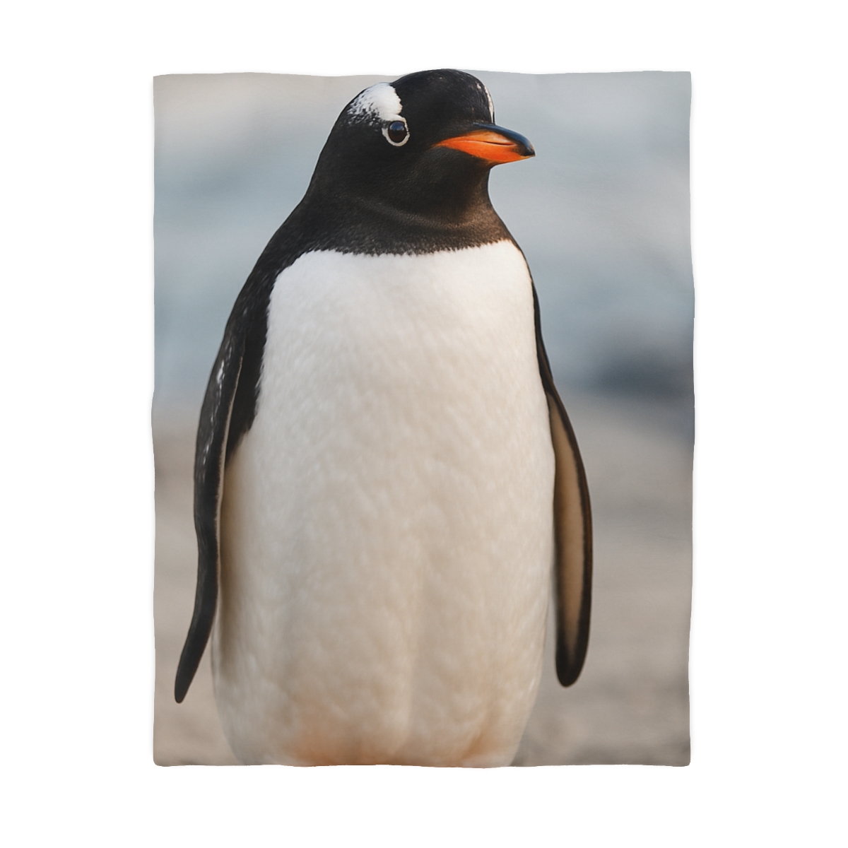 Shoreline Echo Gentoo Penguin trendy bedroom duvets