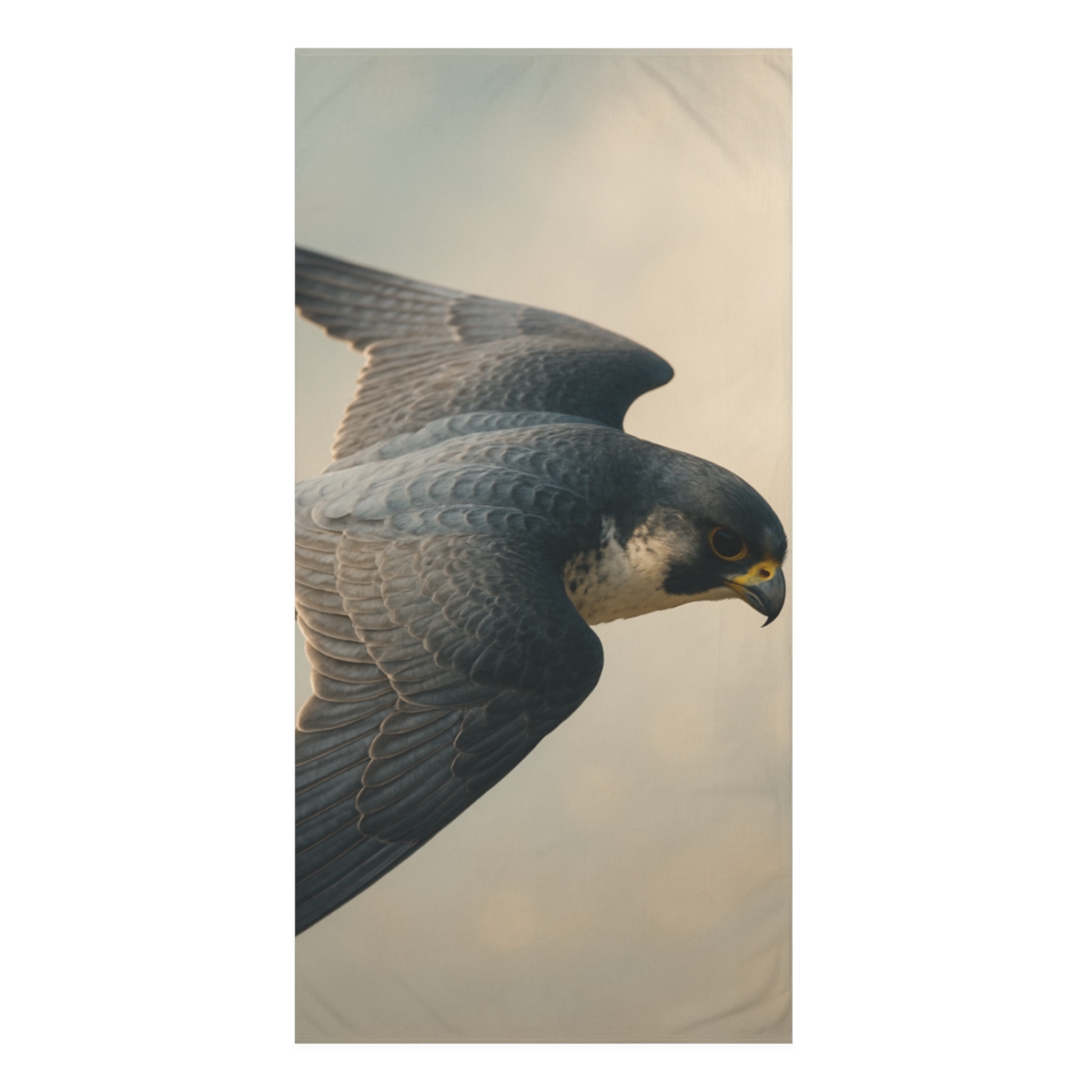 Silent Comet Peregrine Falcon decorative home towels