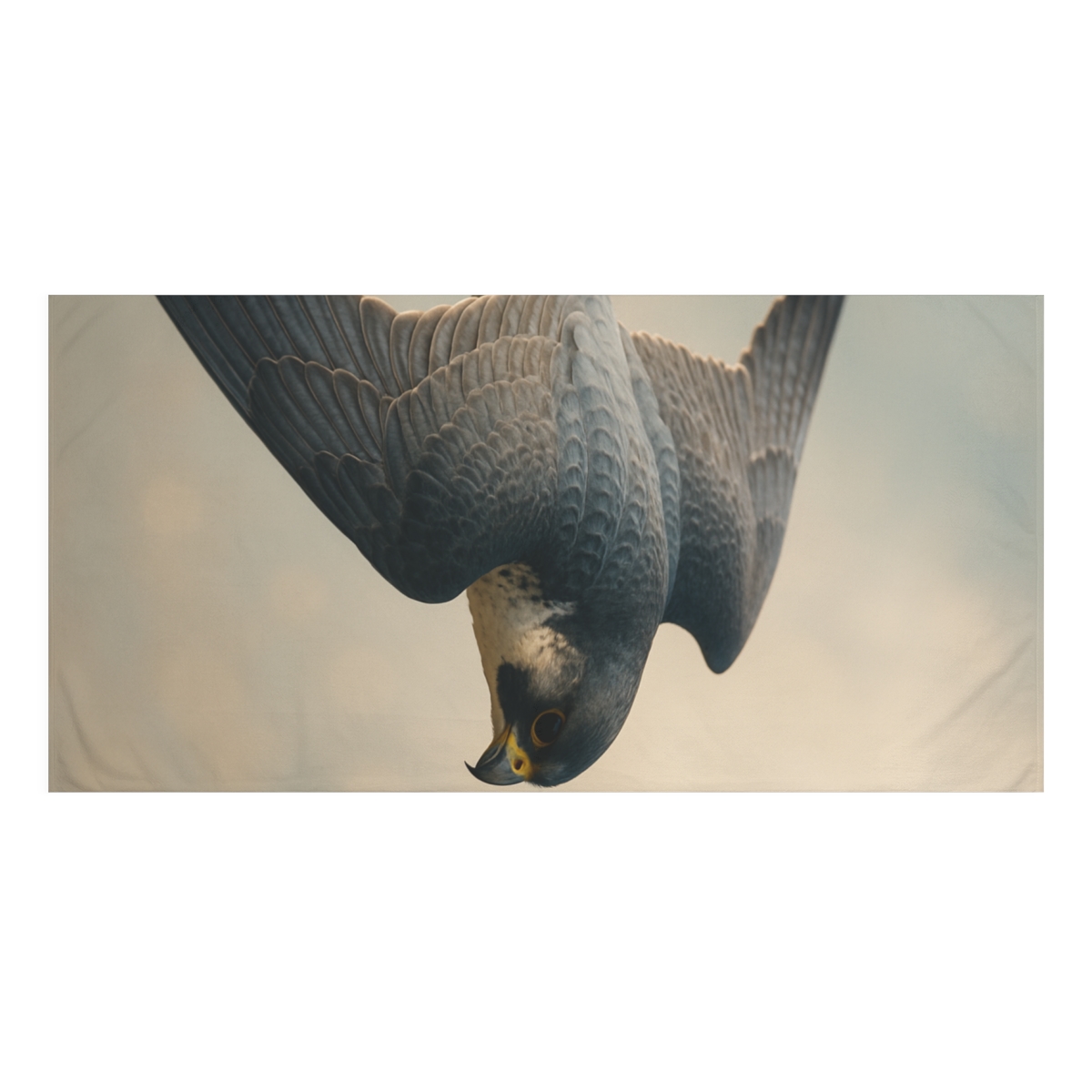 Silent Comet Peregrine Falcon decorative home towels