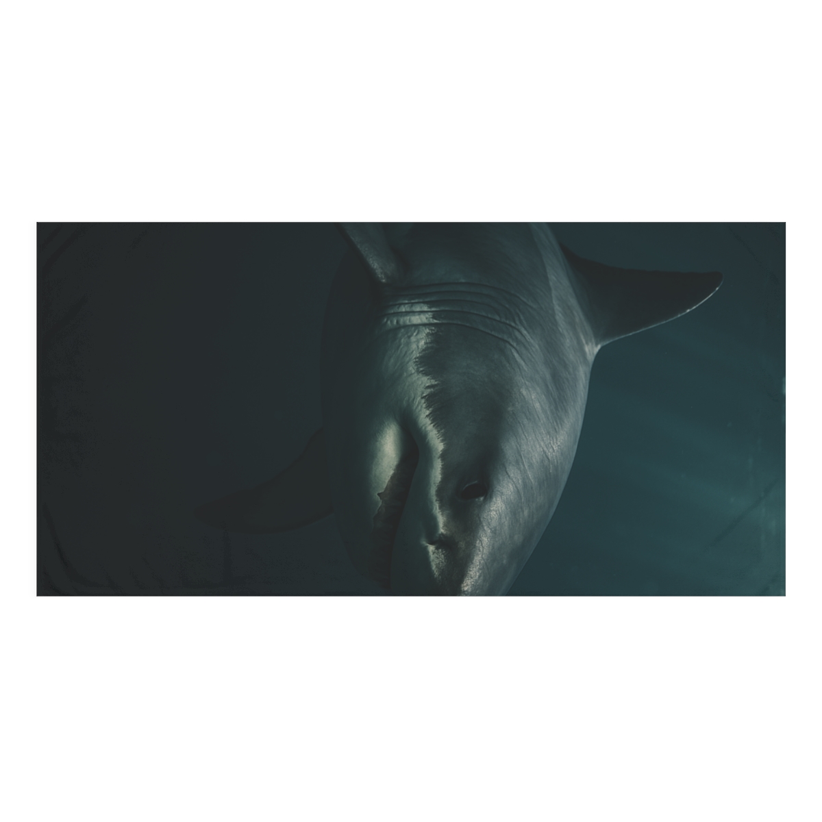 Silent Depths Great White Shark decorative home towels