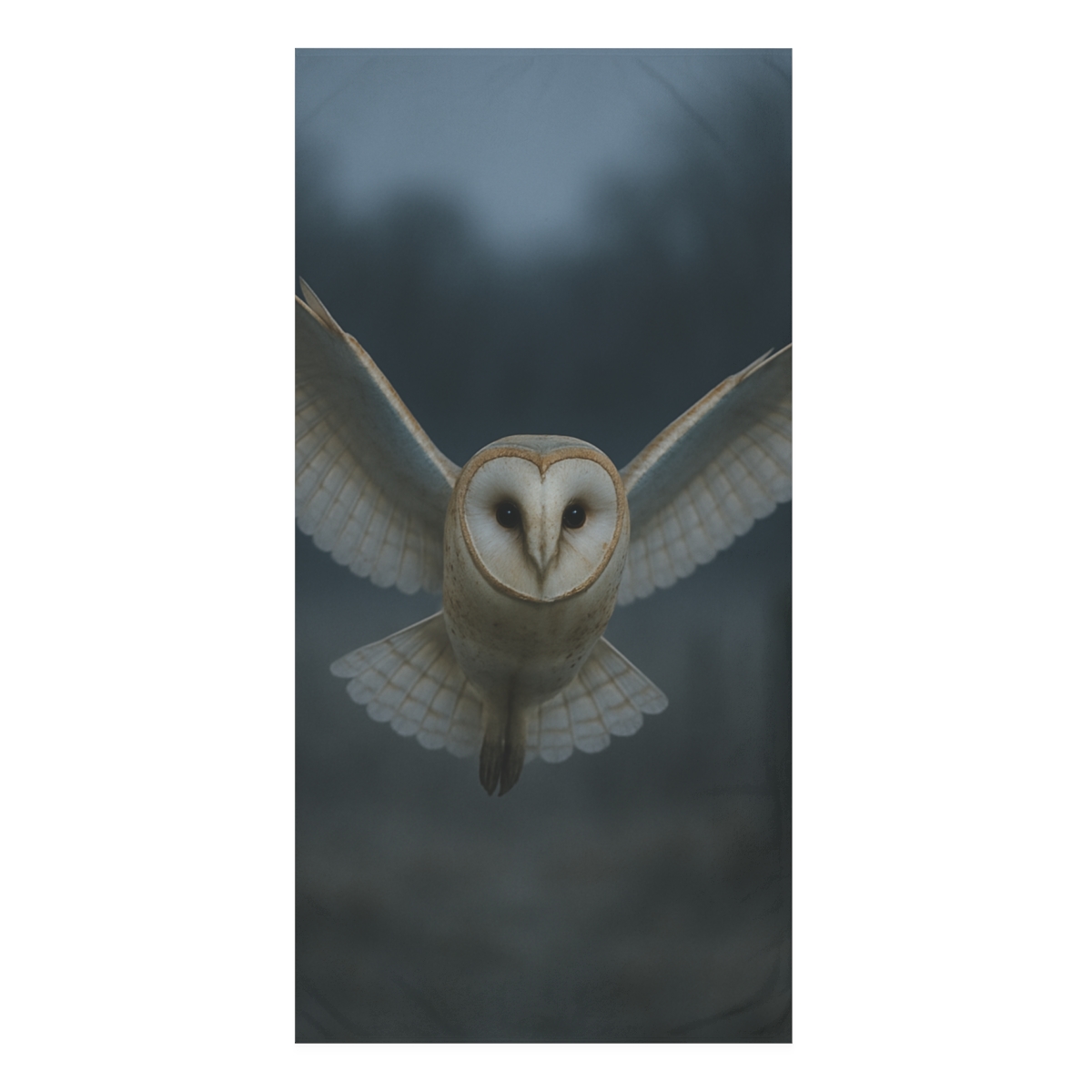 Silent Descent Barn Owl decorative home towels