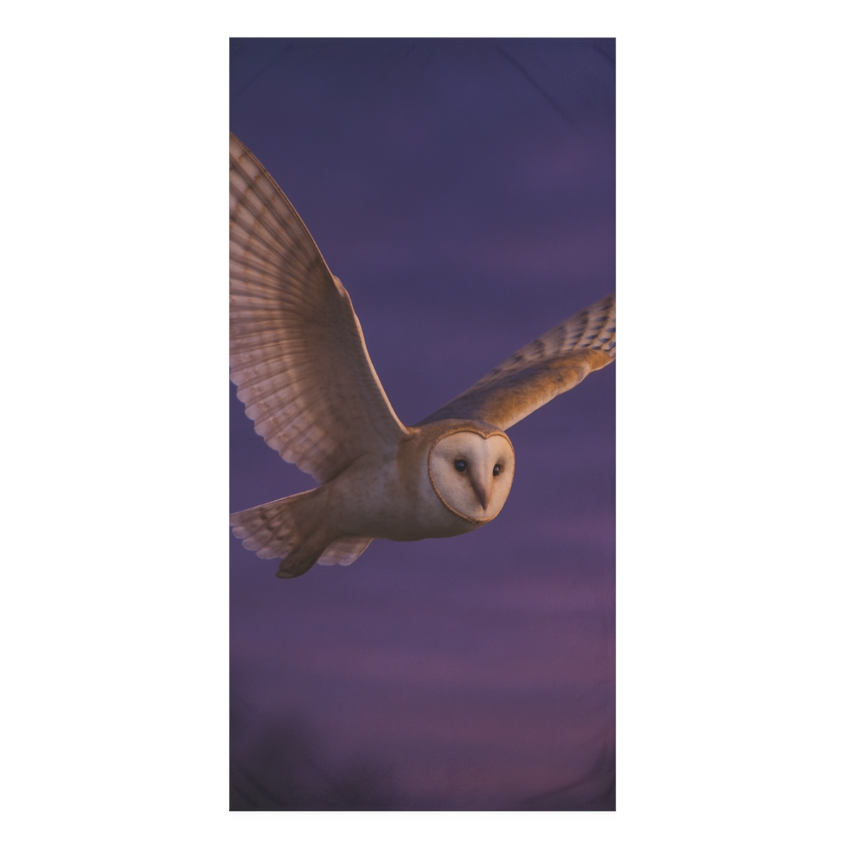 Silent Flight Barn Owl stylish beach towels