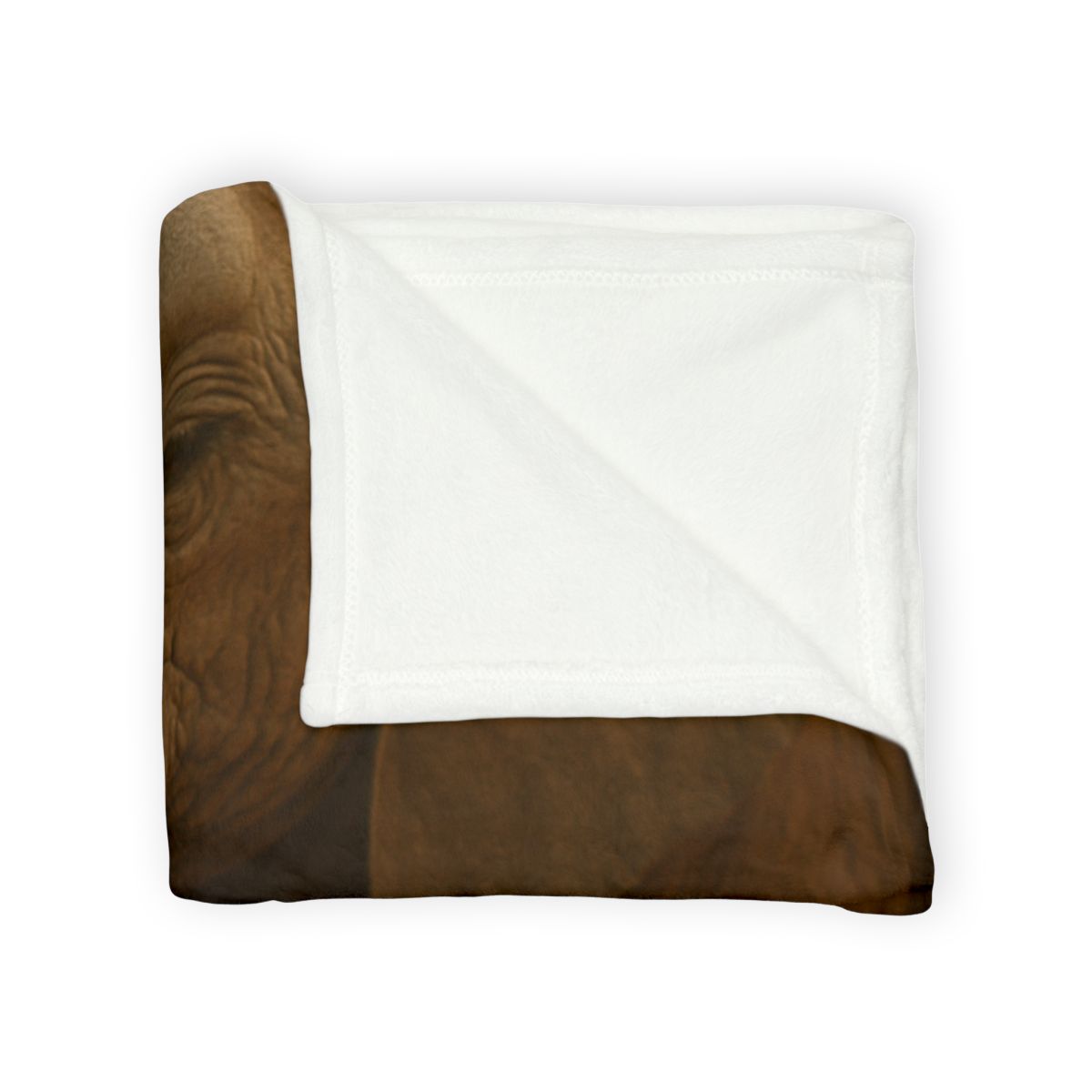 Silent Giant Elephant warm winter blankets
