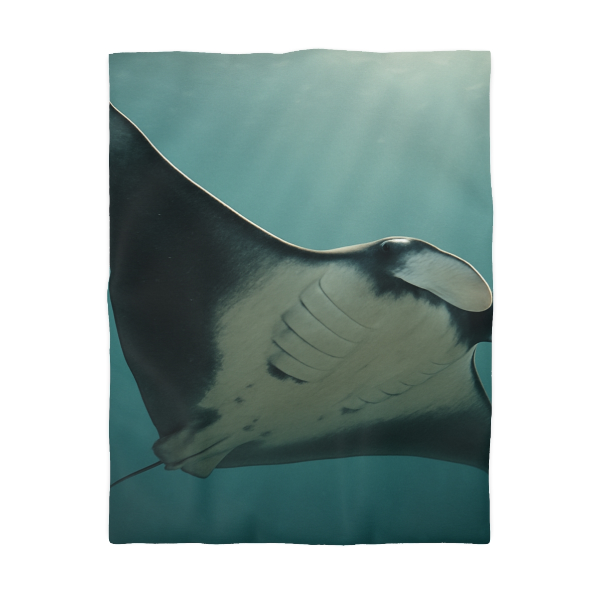 Silent Glide Giant Manta Ray custom duvets