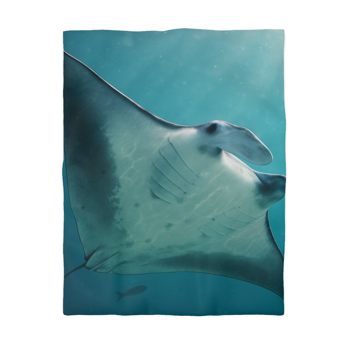 Silent Glide Manta Ray unique patterned duvets