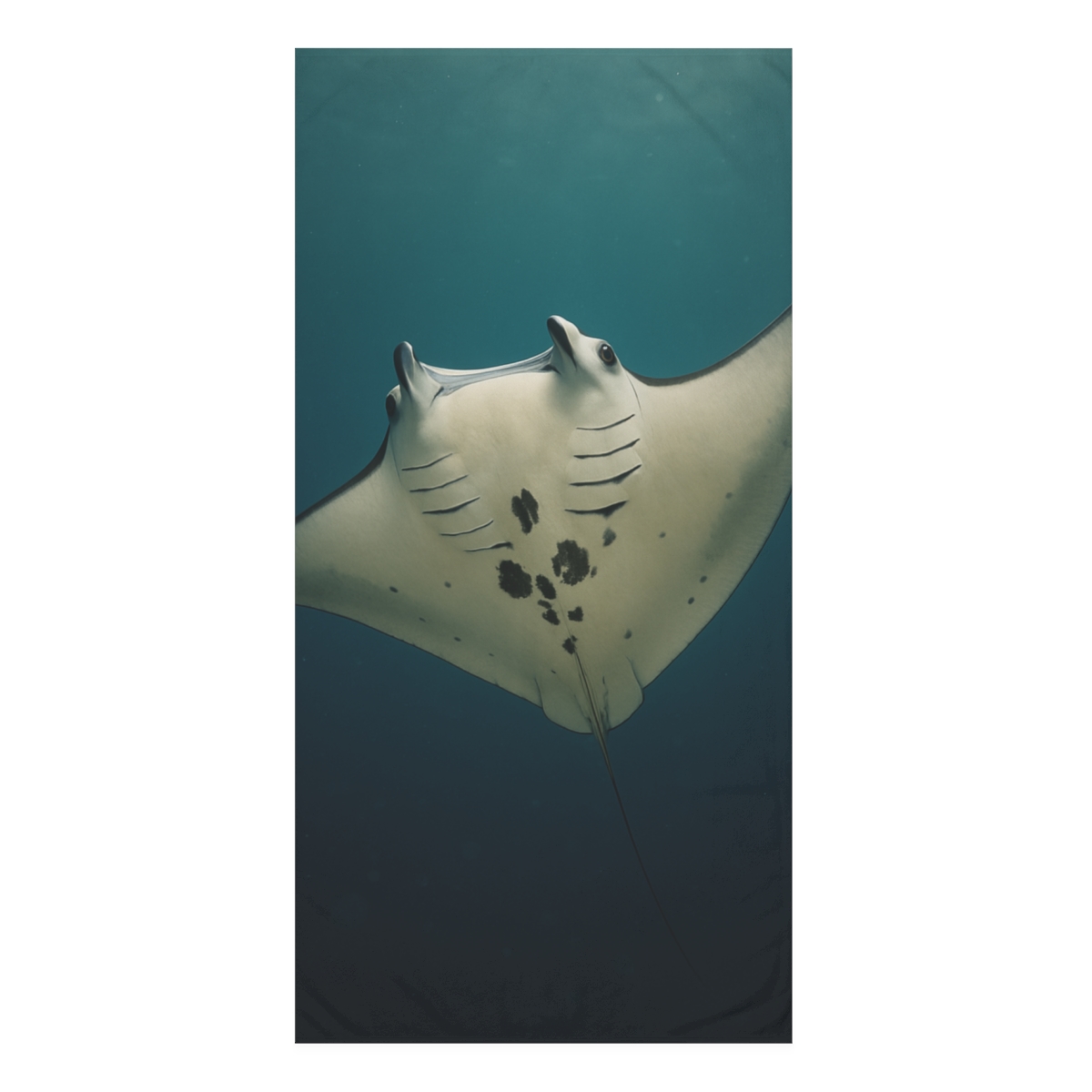 Silent Glide Manta Ray stylish beach towels
