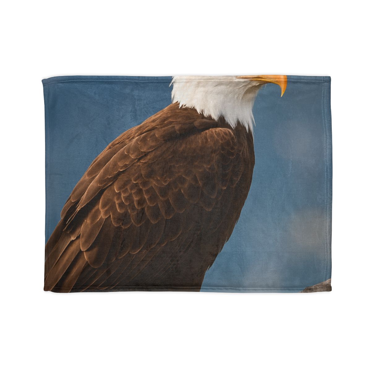 Silent Majesty Bald Eagle Blanket