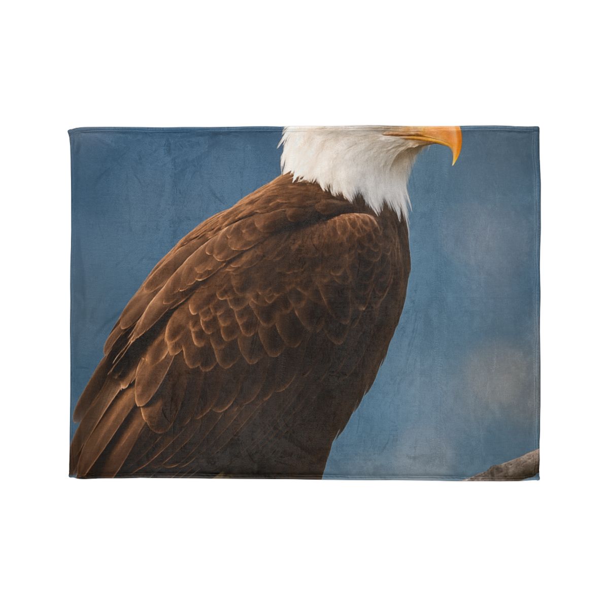Silent Majesty Bald Eagle Blanket