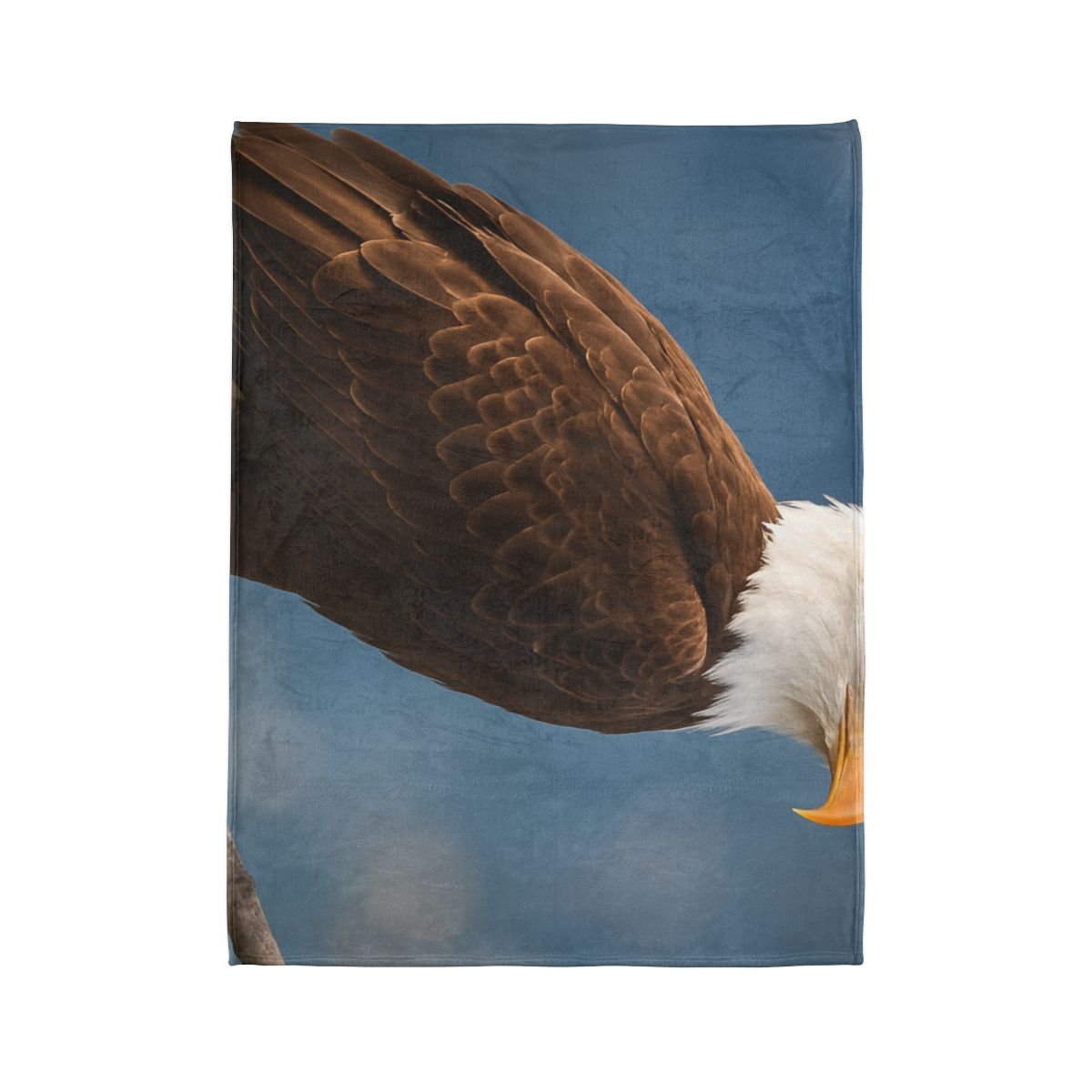 Silent Majesty Bald Eagle Blanket