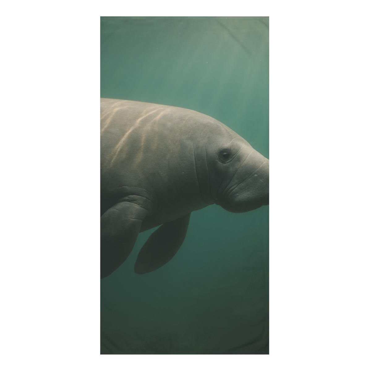 Silent Tide Manatee unique gift towels