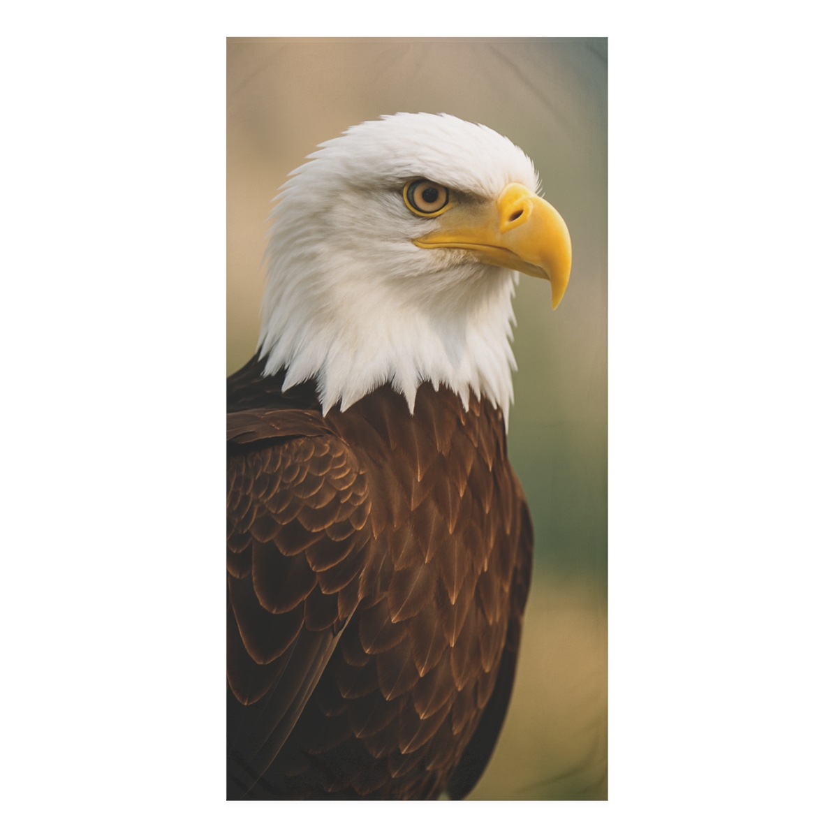 Silent Watcher Bald Eagle soft cotton towels