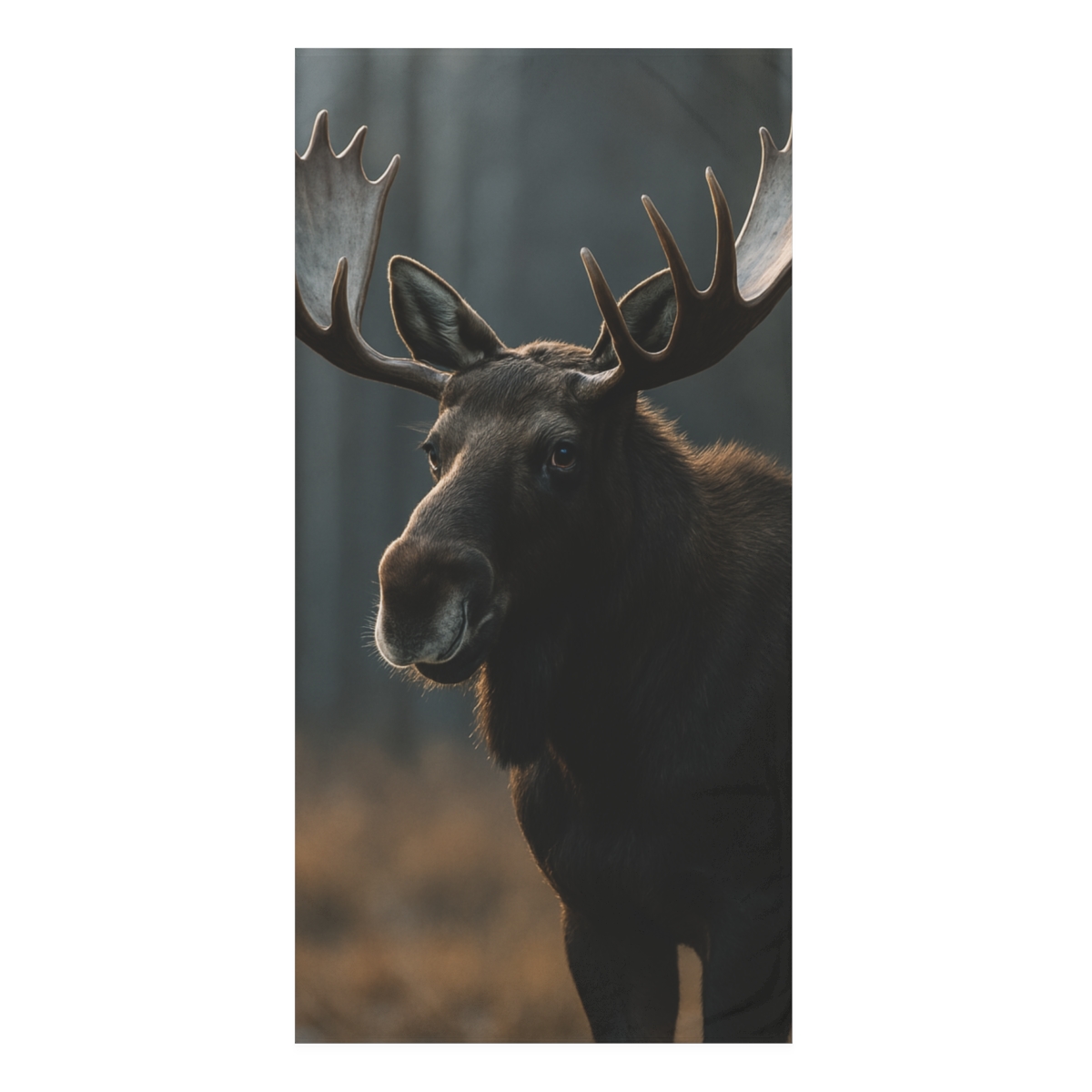 Silver Breath Moose custom towels