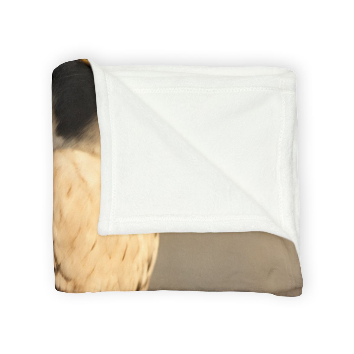 Silver Dusk Peregrine Falcon custom blankets