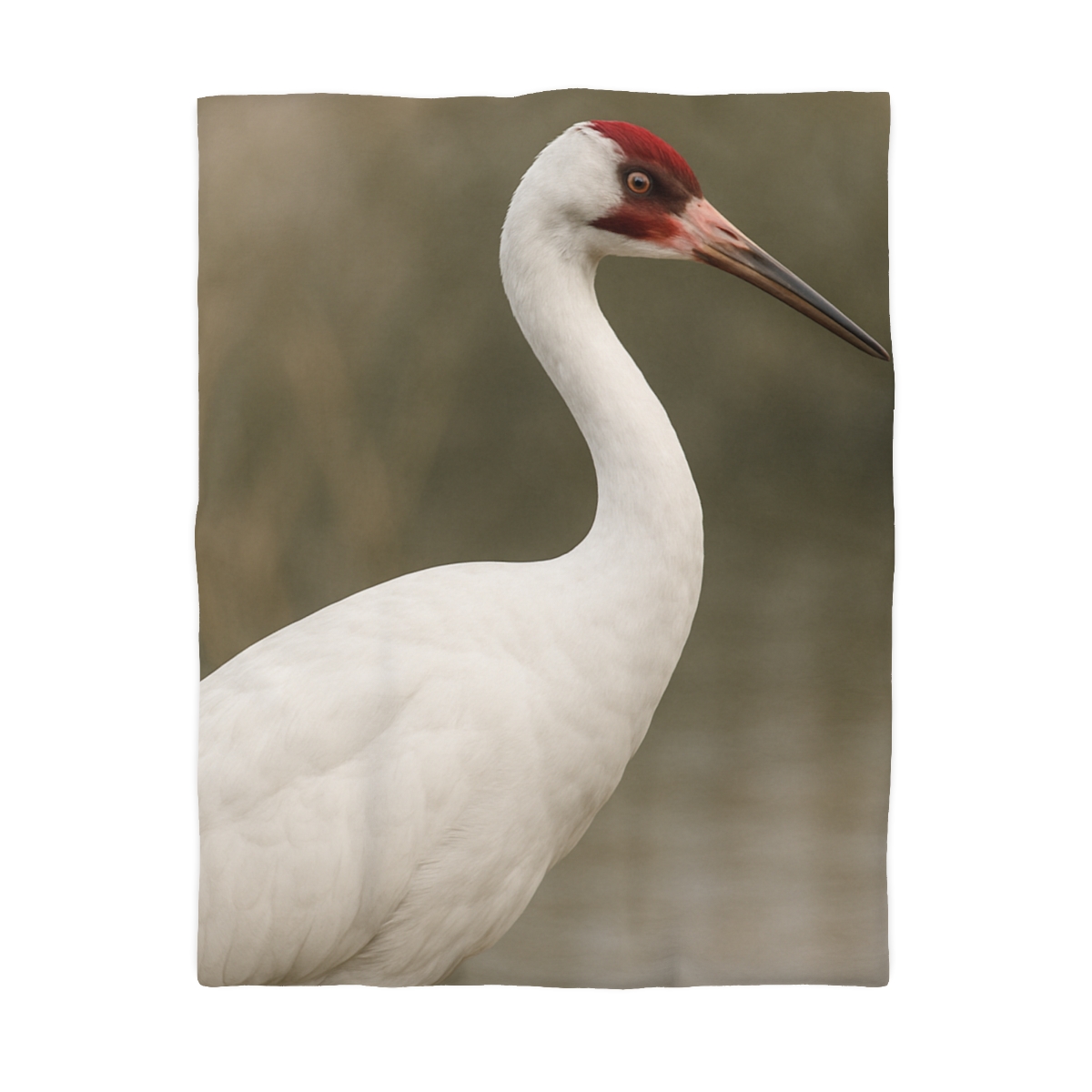 Silver Poise Whooping Crane trendy bedroom duvets