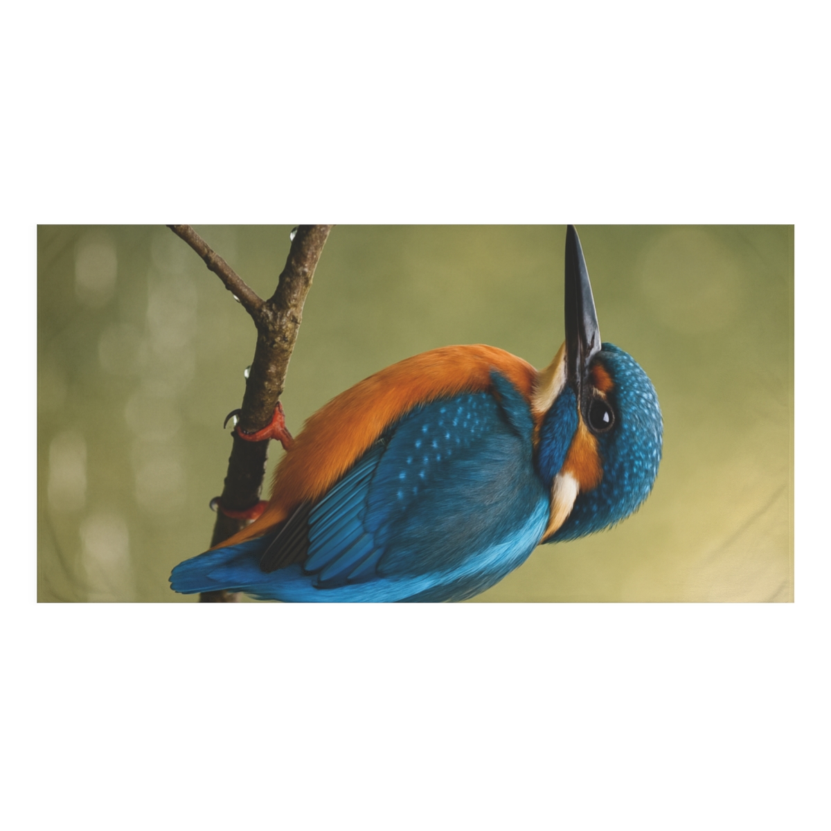 Silver Stillness Kingfisher designer printed towels