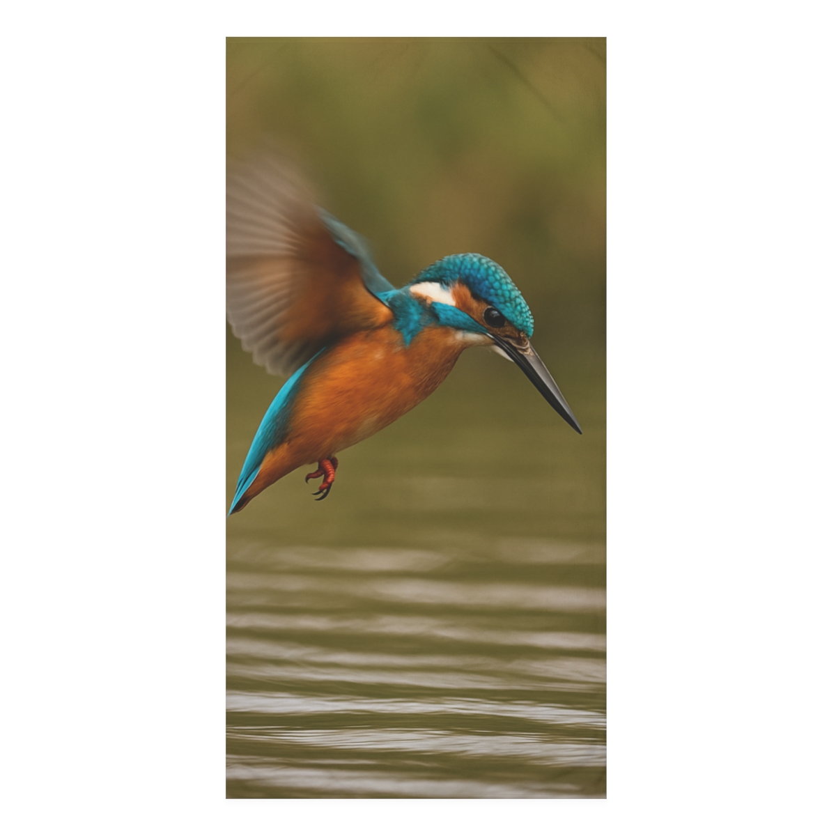 Silver Strike Kingfisher personalized bath towels