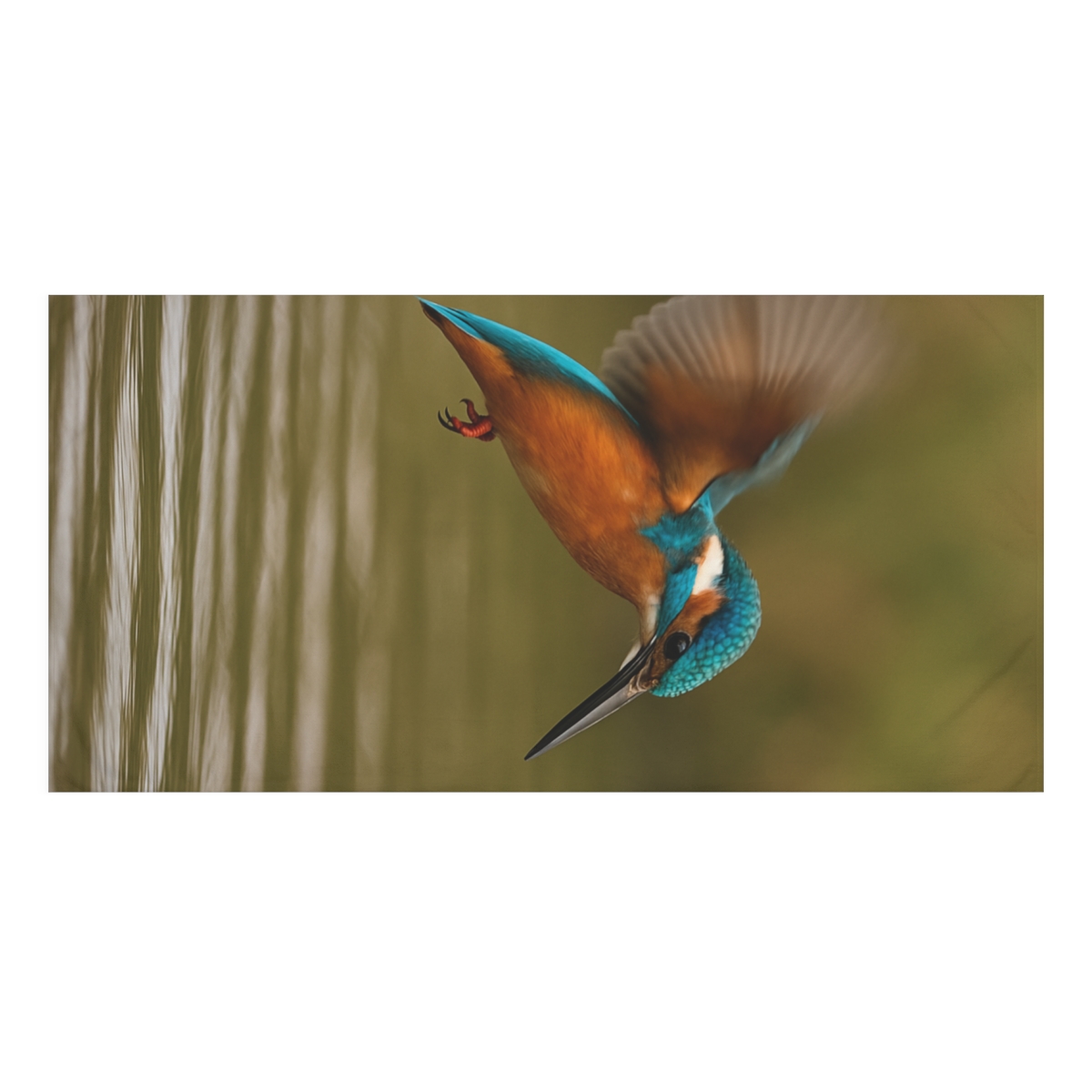 Silver Strike Kingfisher personalized bath towels