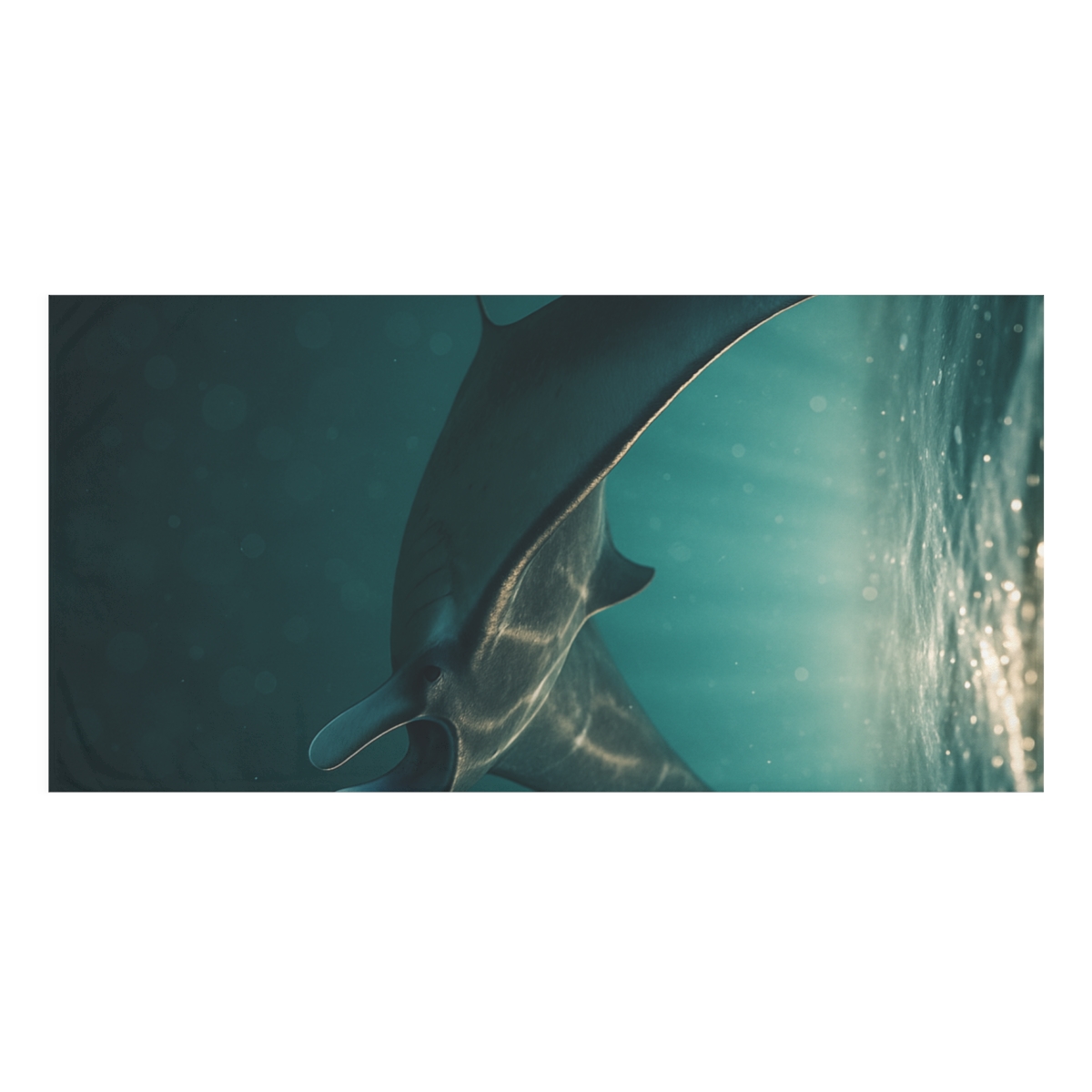 Silver Wing Horizon Manta Ray custom towels