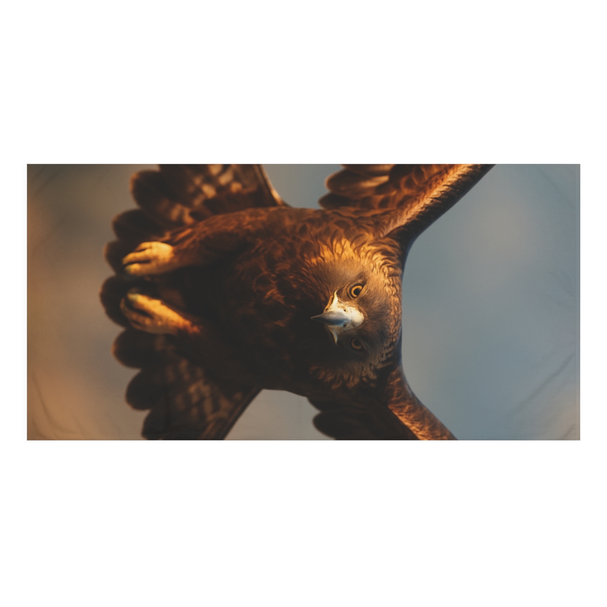 Sky Hunter Golden Eagle comfortable face towels