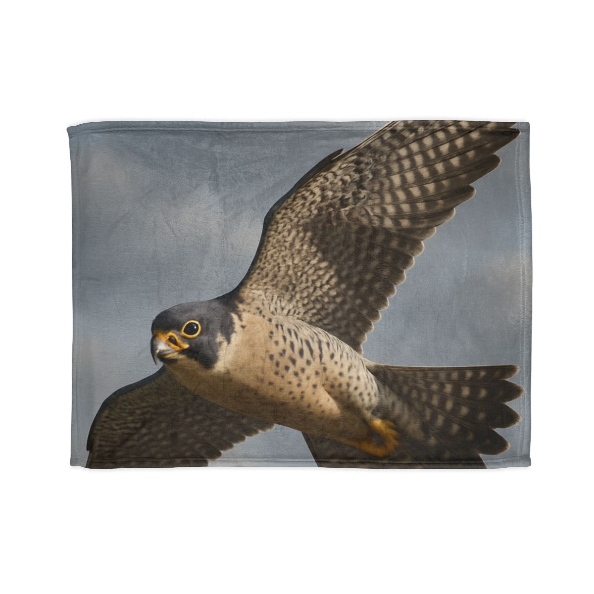 Sky Lance Peregrine Falcon decorative home blankets