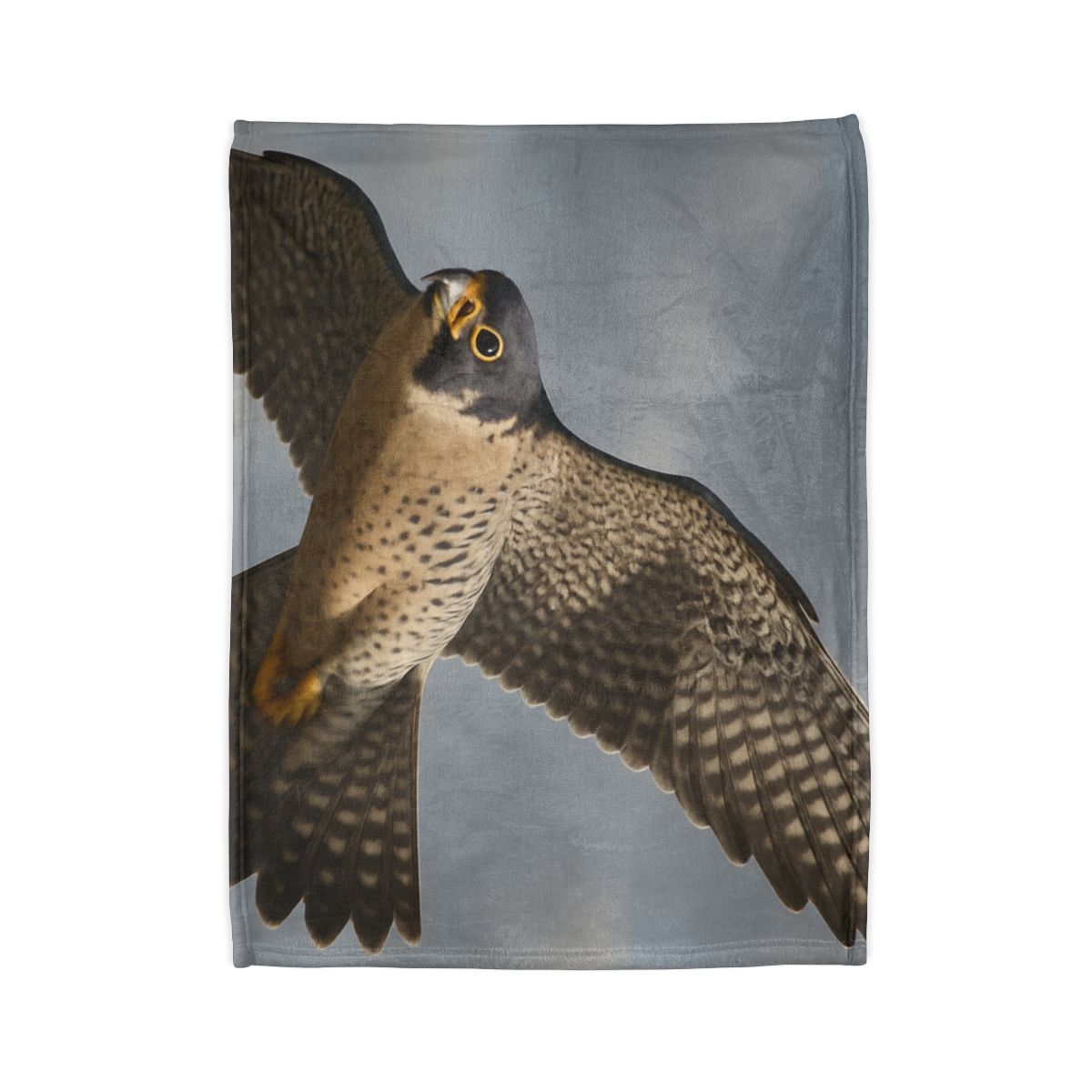 Sky Lance Peregrine Falcon decorative home blankets