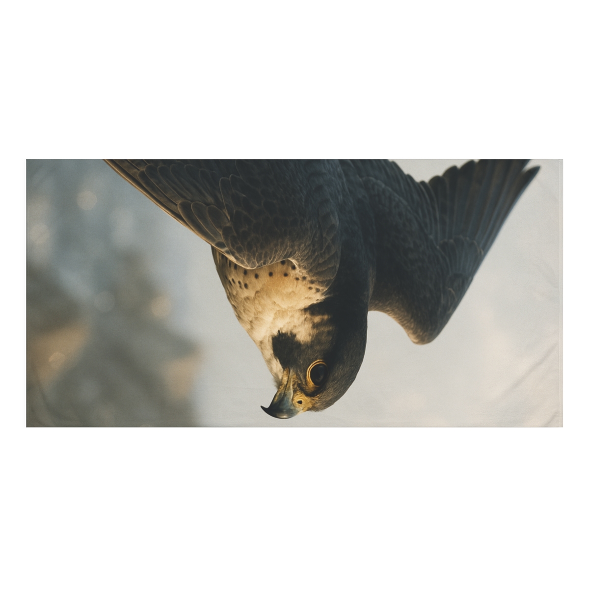 Skyline Velocity Peregrine Falcon decorative home towelscustom towels