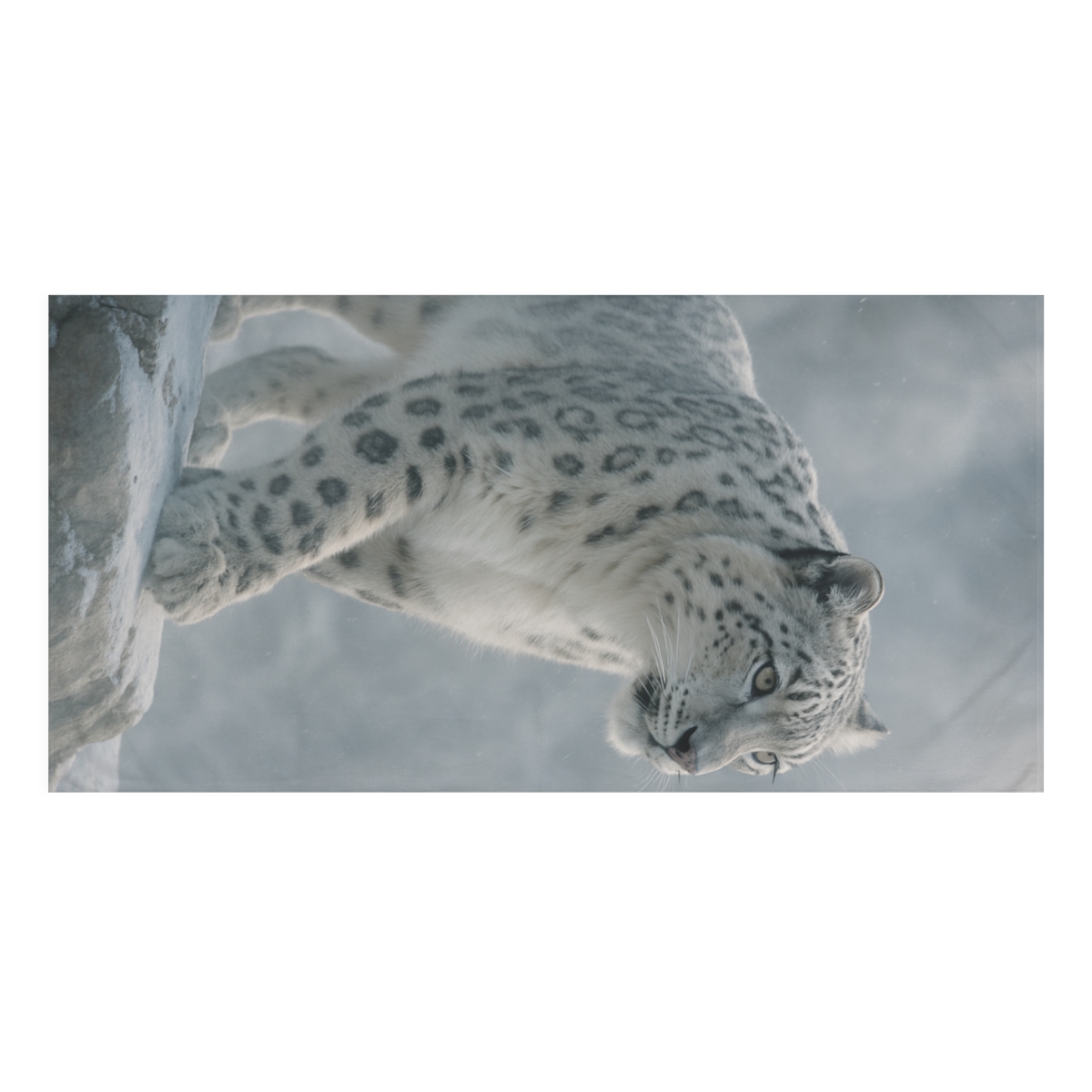 Snow Leopard Ridge Phantom decorative home towelscustom towels